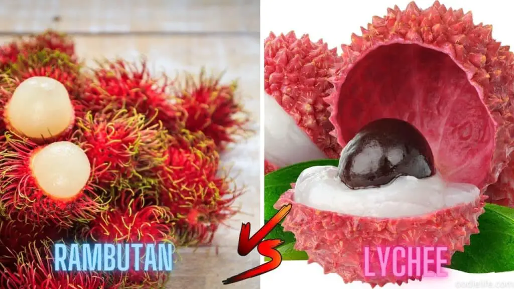 LYCHEE VS RAMBUTAN