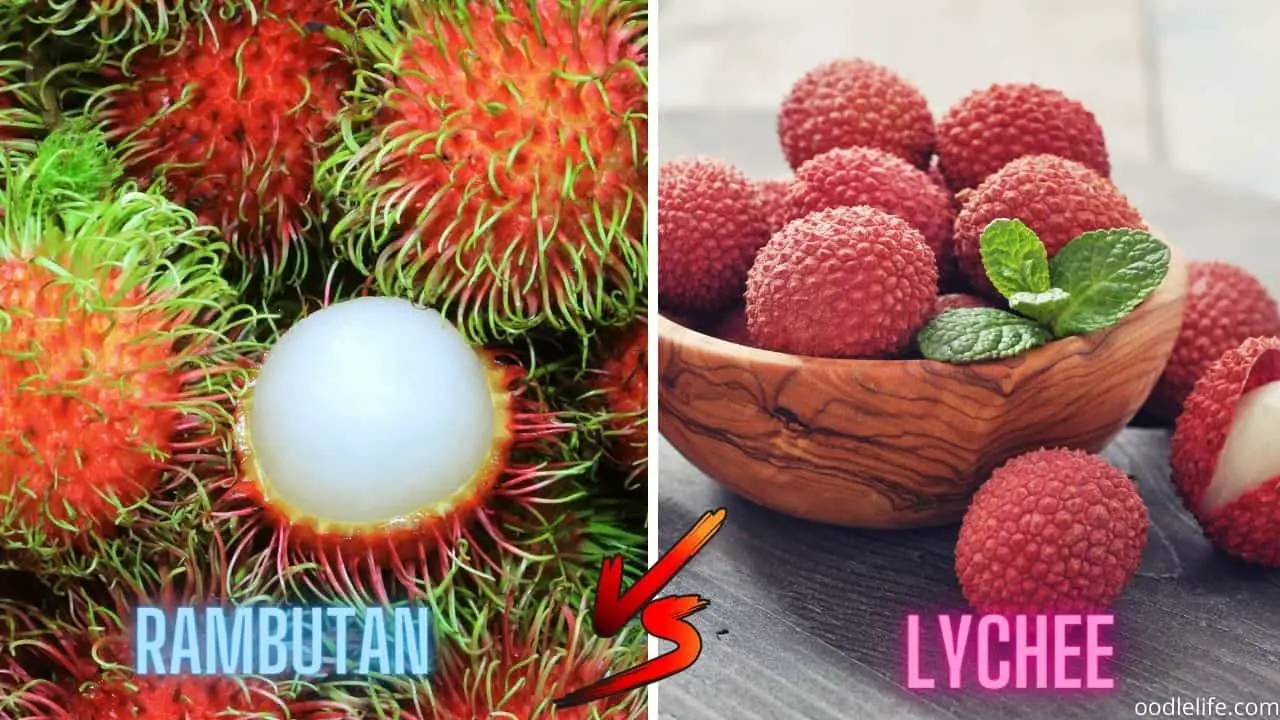 fresh rambutan and fresh lychee