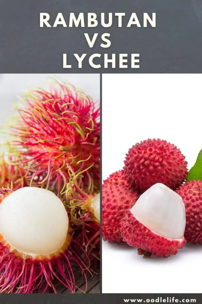rambutan vs lychee