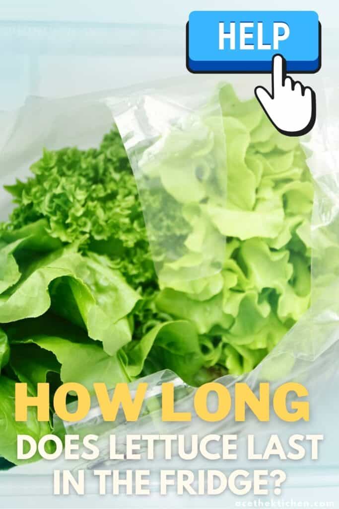 how long does lettuce last in the fridge