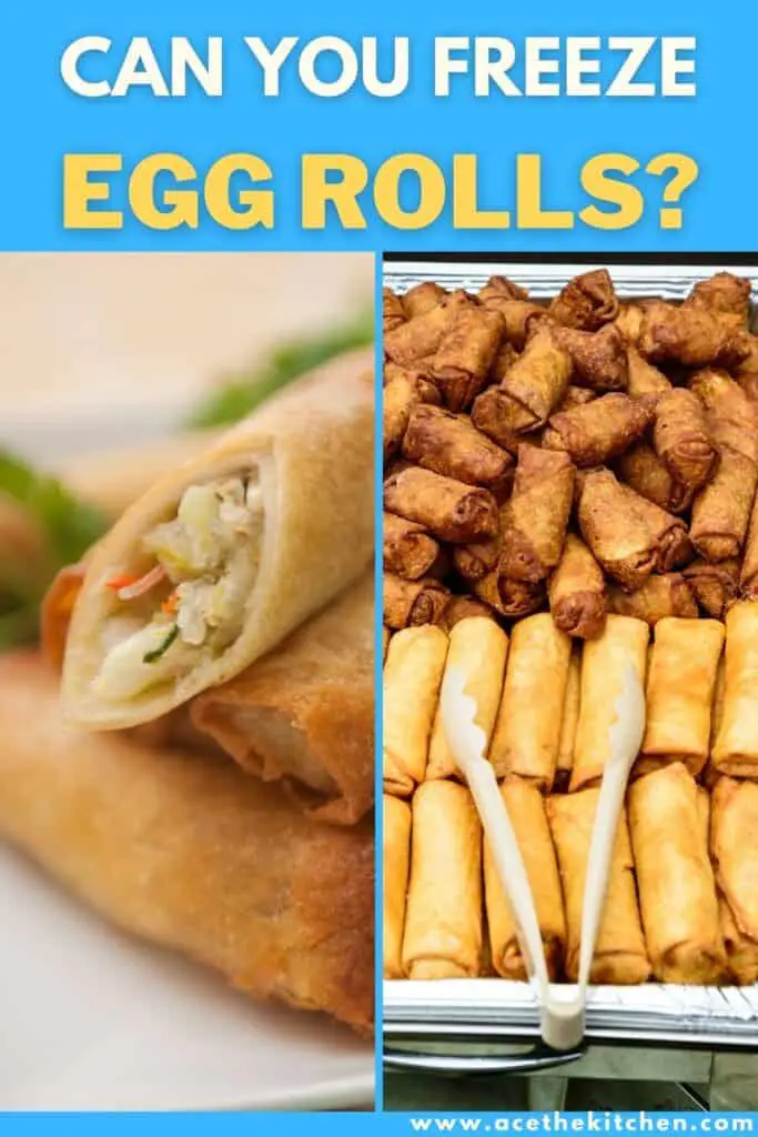 can you freeze egg rolls