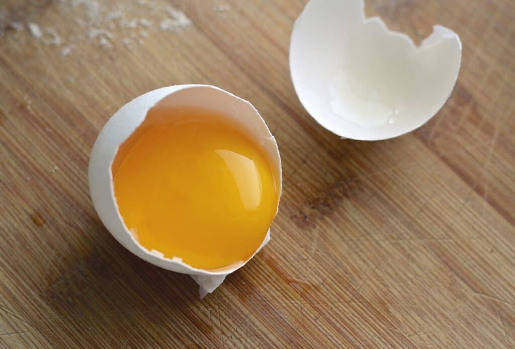 egg yolk substitute