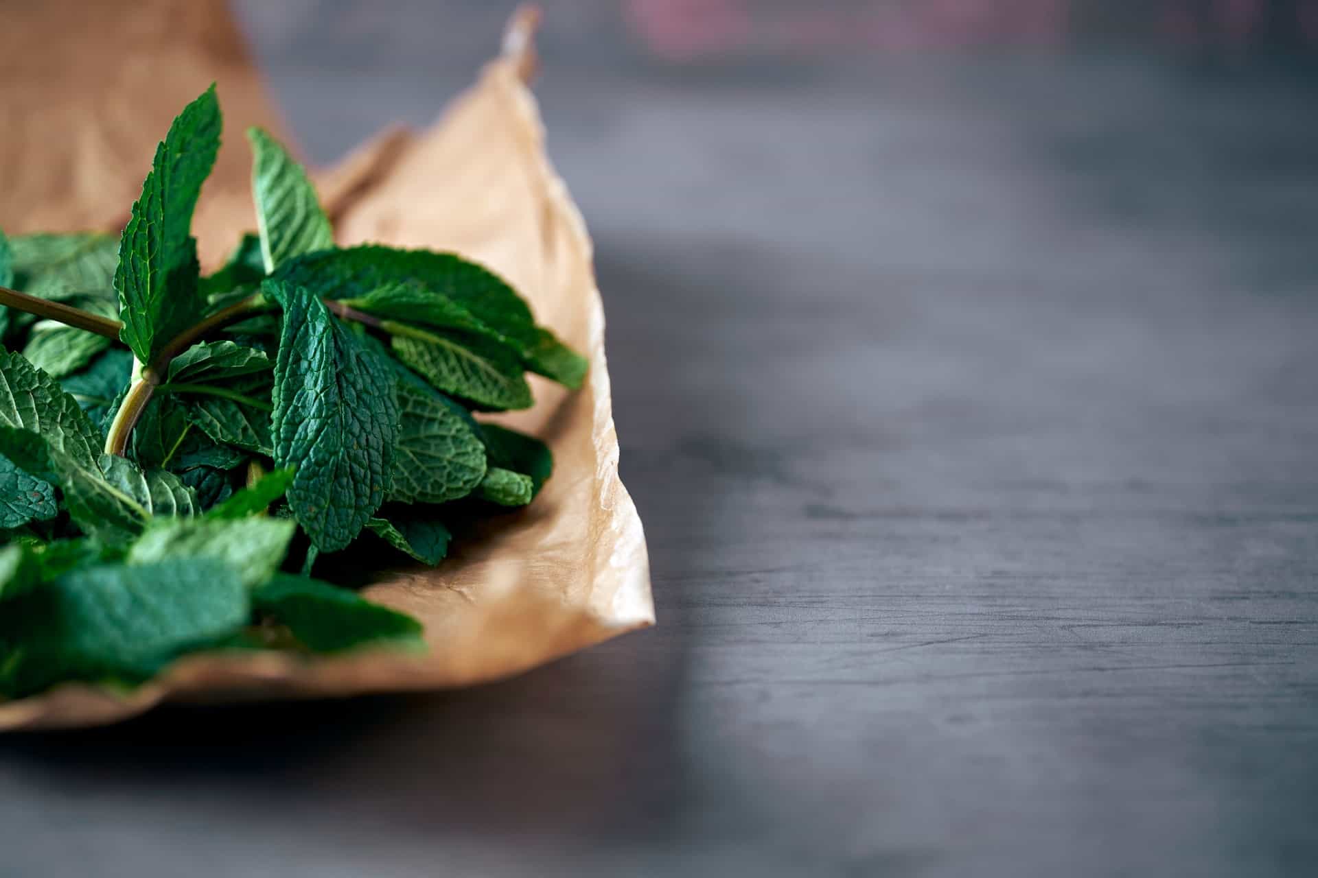 how to store fresh mint