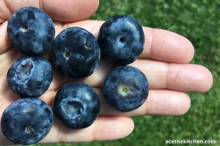 Blueberry Basics: How Long Do Blueberries Last?