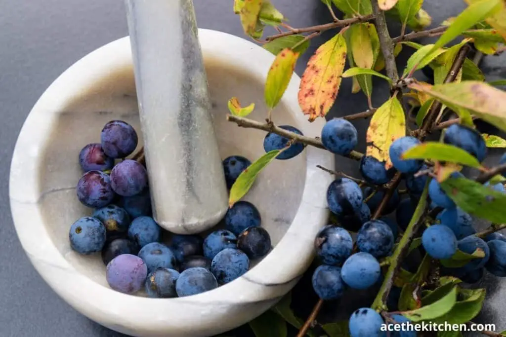 mortar and pestle and blueberry